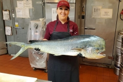 30 pound Mahi